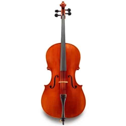 Đàn Cello Eastman Josef H. Regh VC500 size 4/4 – 1/2