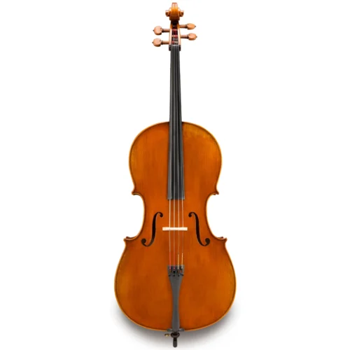 Đàn Cello Eastman Lombardi VC502 size 4/4 – 7/8