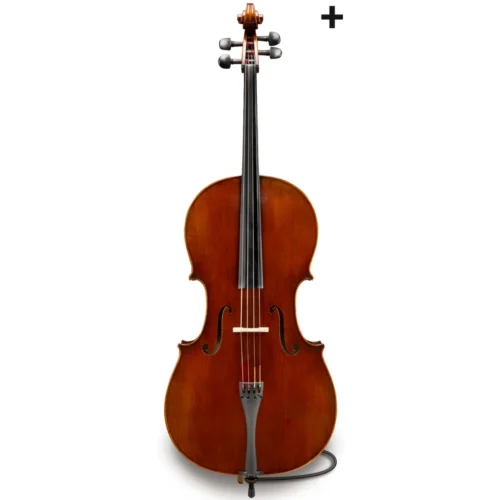 Đàn Cello Eastman Rudoulf Doetsch Series+ VC701+ size 4/4 – 1/2