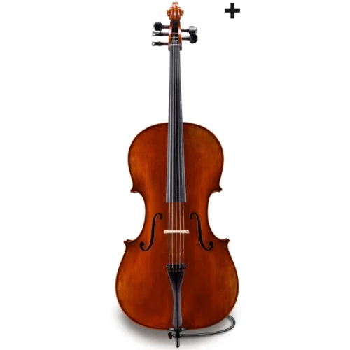 Đàn Cello Eastman Rudoulf Doetsch Series+ VC7015+ size 4/4 – 1/2