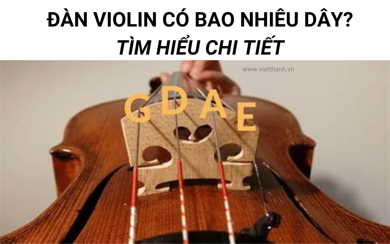 Đàn violin có bao nhiêu dây? Tìm hiểu chi tiết