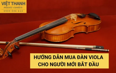 Hướng dẫn mua đàn Viola cho người mới bắt đầu