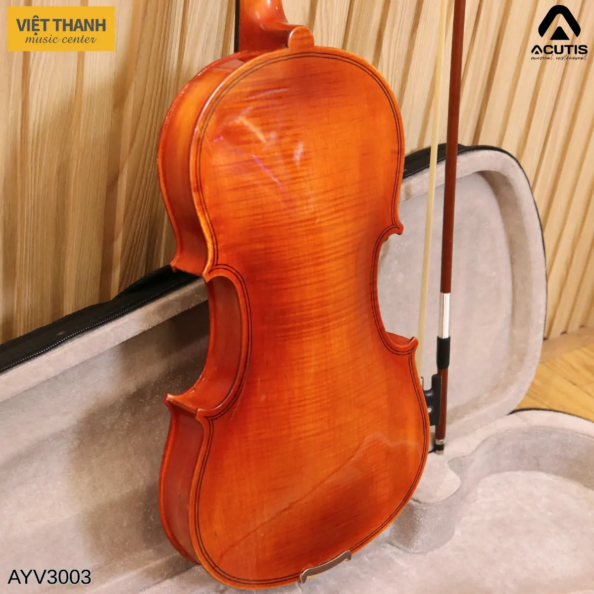 mat lung dan violin acutis ayv3003