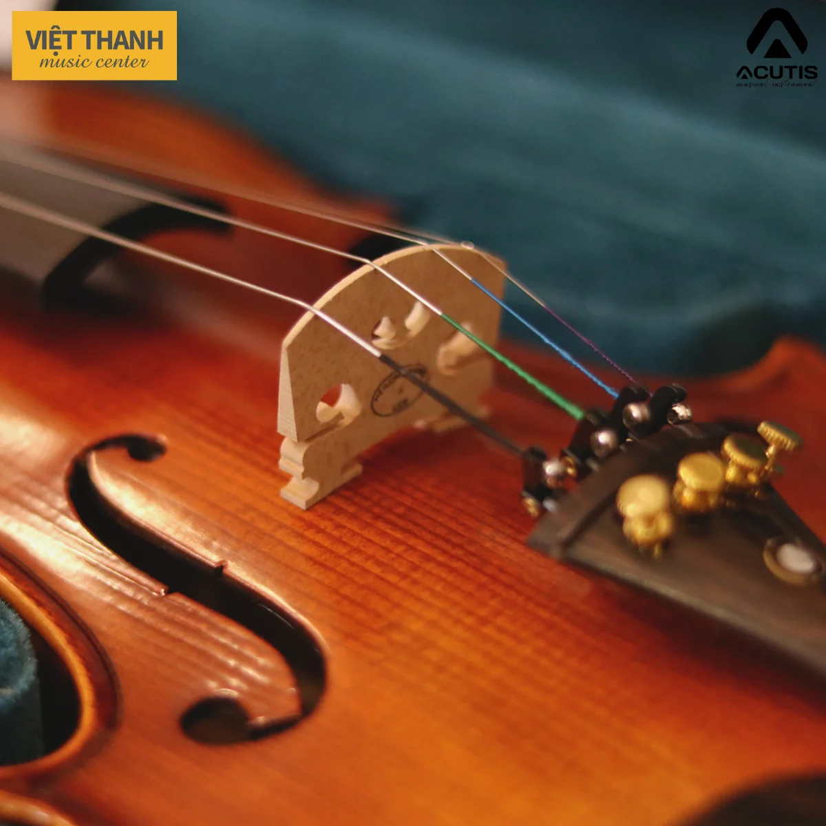 ngua dan violin acutis ahv3401