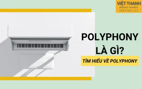 Polyphony là gì? Đàn piano điện cần có bao nhiêu polyphony là đủ?