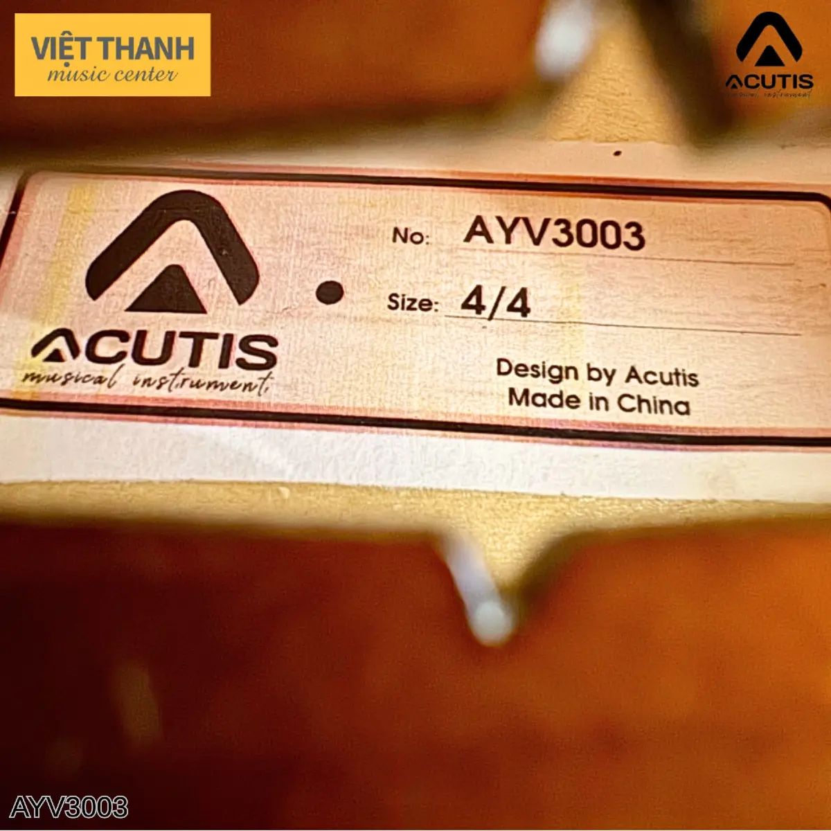 tem dan violin acutis ayv3003