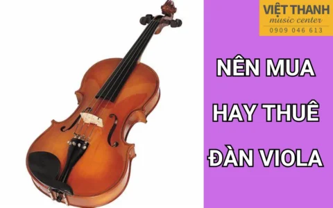 nen thue hay mua dan viola