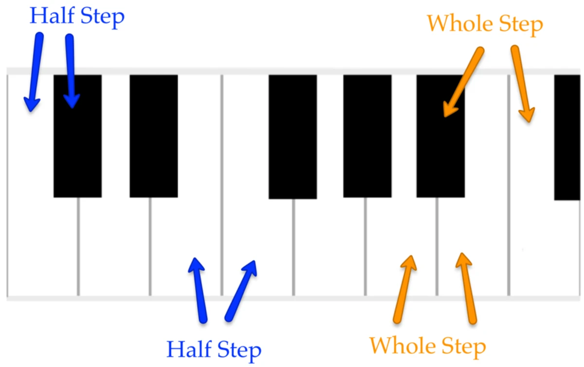 nguyen cung whole step va ban cung half step