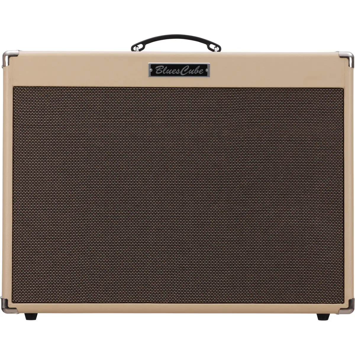 ampli dan guitar dien roland blues cube artist212