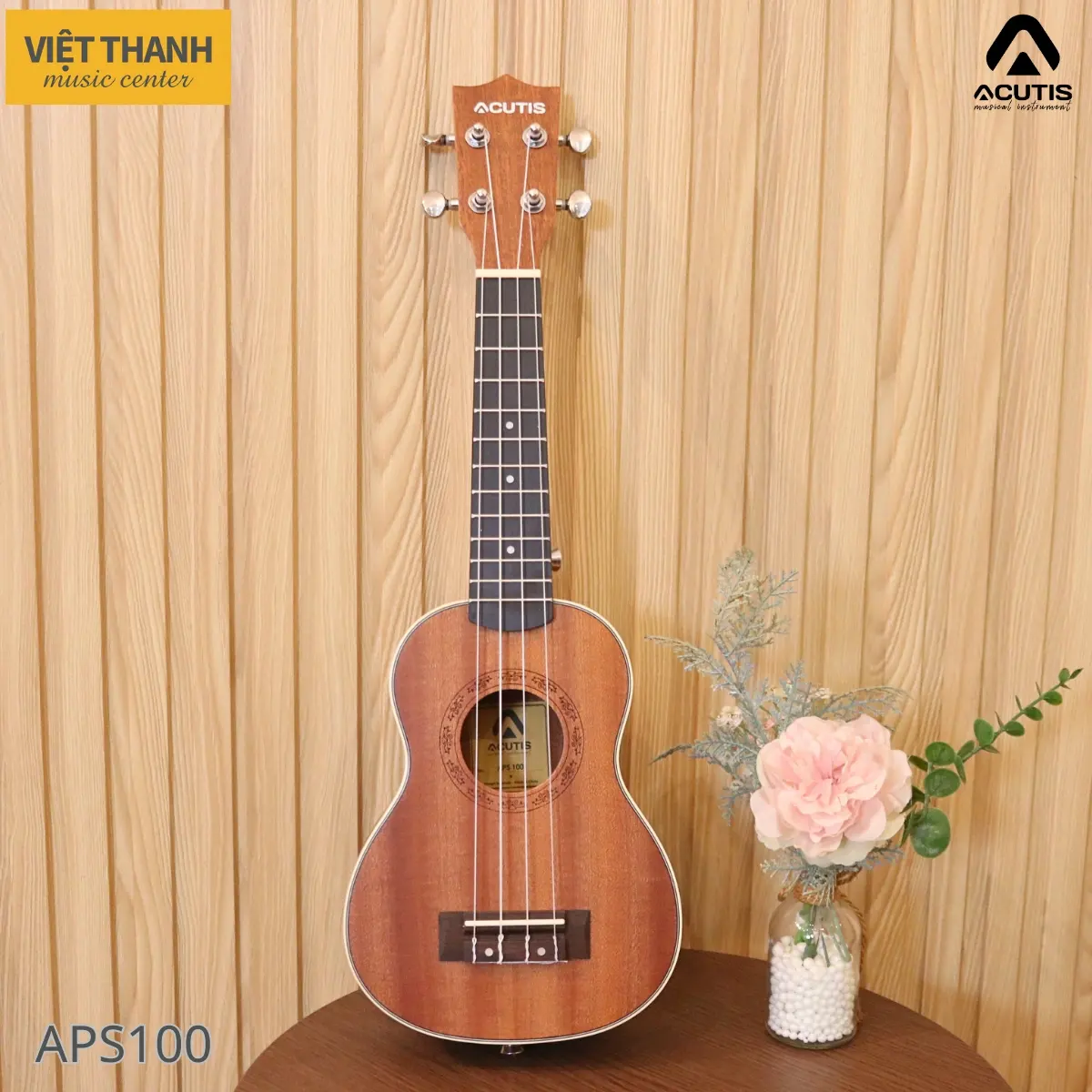 dan ukulele acutis aps100