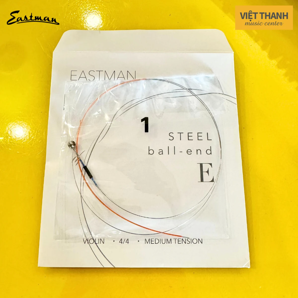 day dan violin eastman stesppack e