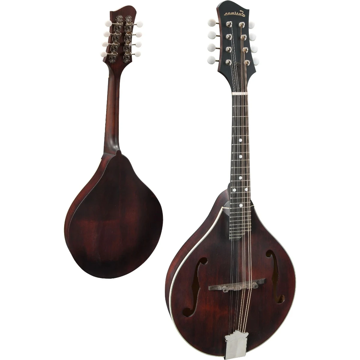 mandolin eastman md305l