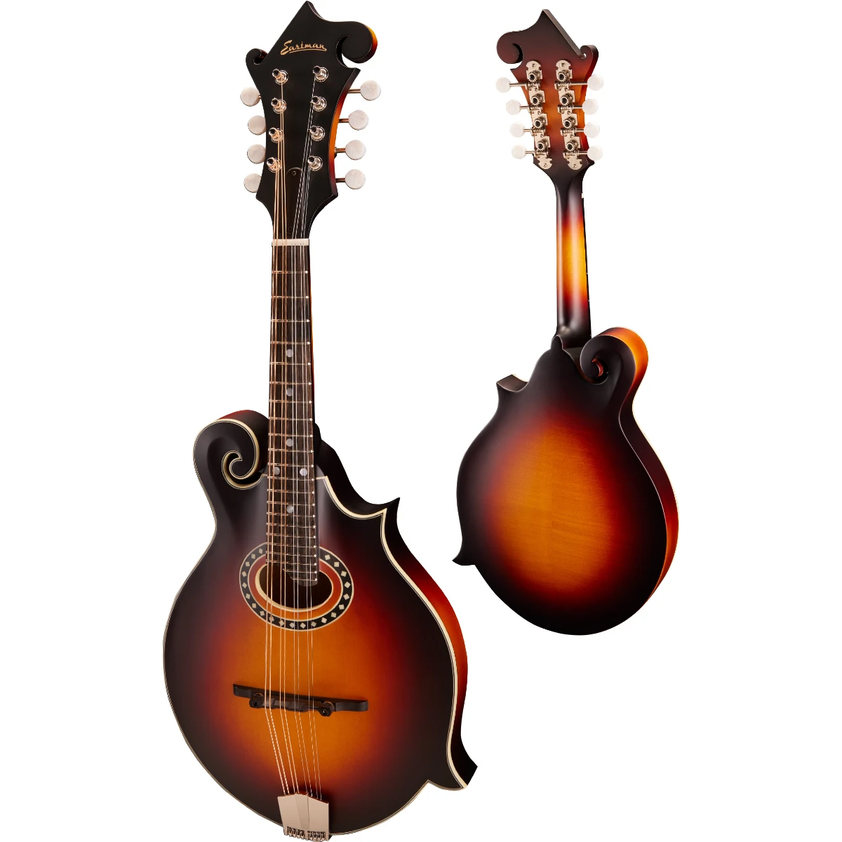 mandolin eastman md314e
