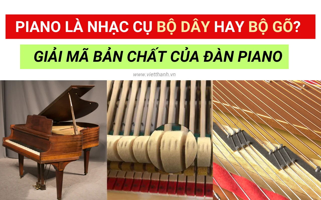 Piano là nhạc cụ bộ dây hay bộ gõ? Giải mã bản chất của đàn piano