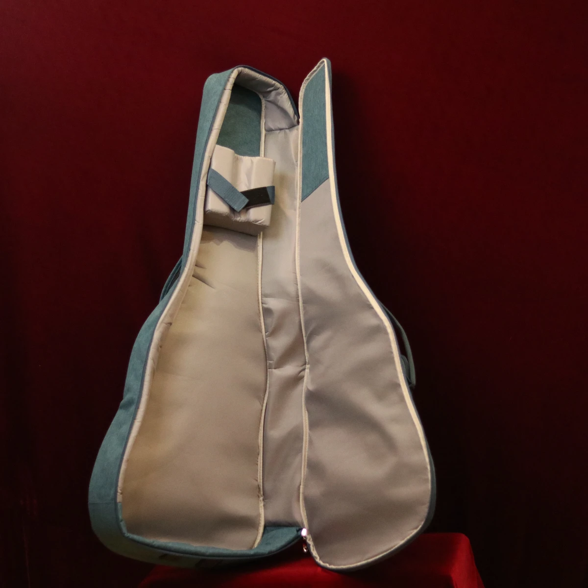 bao guitar eastman mau xanh