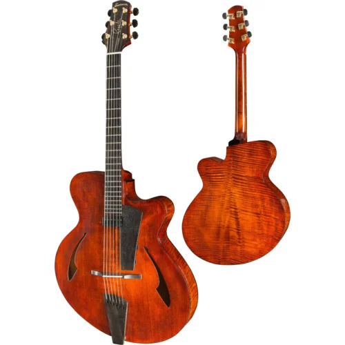 Đàn guitar điện Eastman PG1, Signature Archtop, Pagelli Series