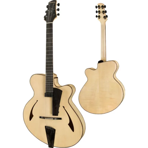 Đàn guitar điện Eastman PG2, Signature Archtop, Pagelli Series