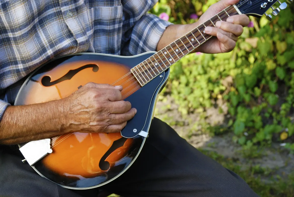 dan mandolin co day kep