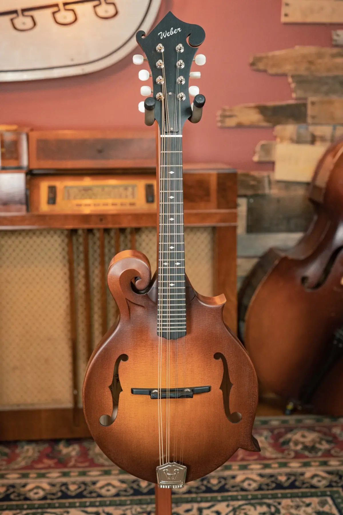 dan mandolin dang f