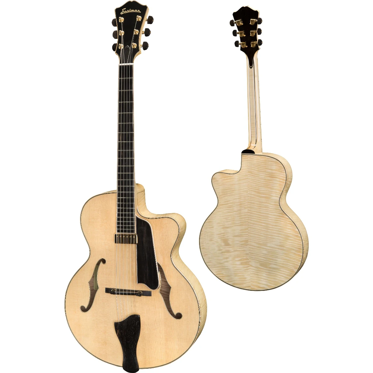 guitar dien eastman ar905ce