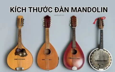 Kích thước đàn mandolin – Hướng dẫn chi tiết cho người mới bắt đầu