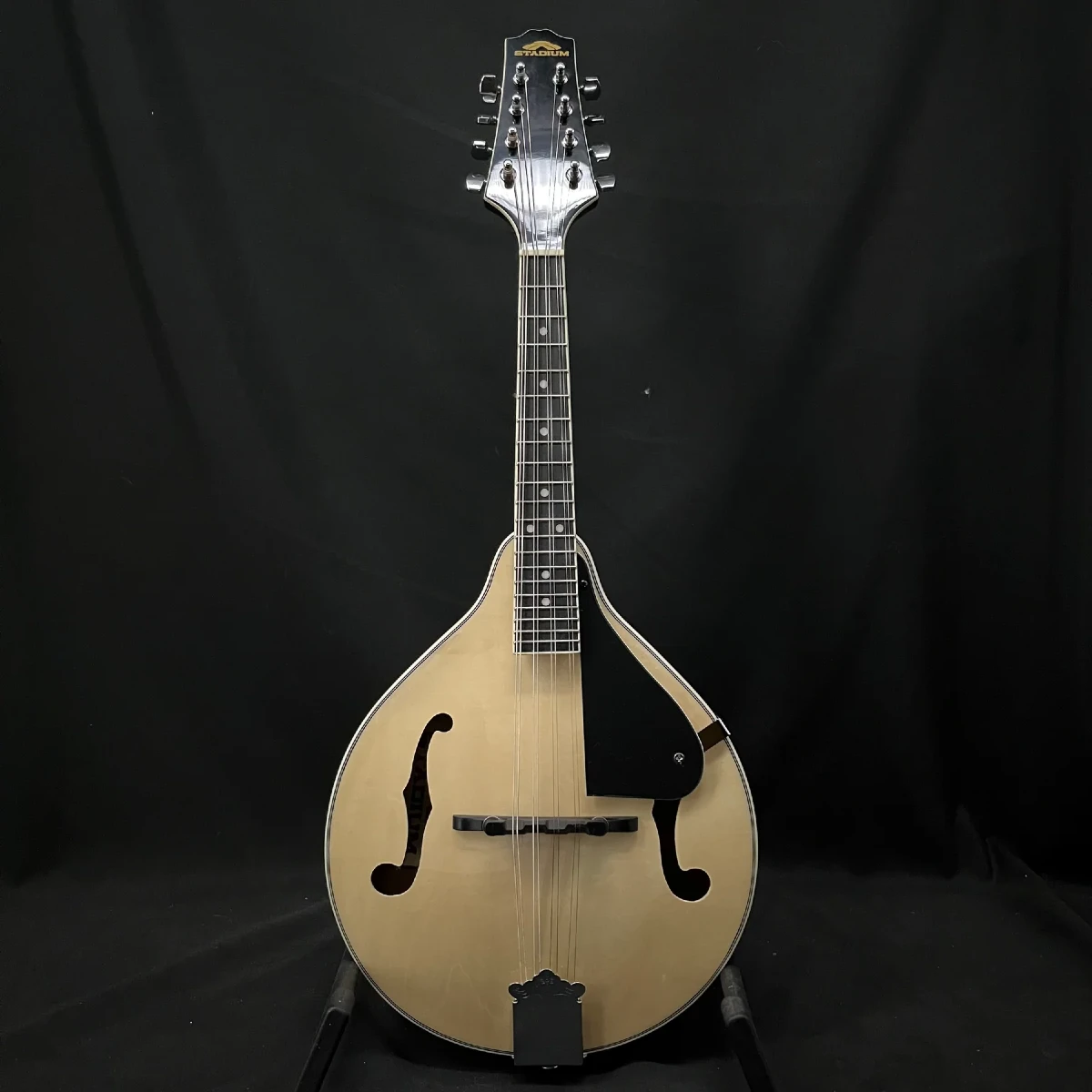 loai dan mandolin nao de hoc nhat