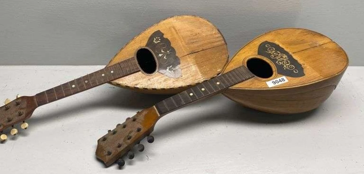 mandolin lung tron