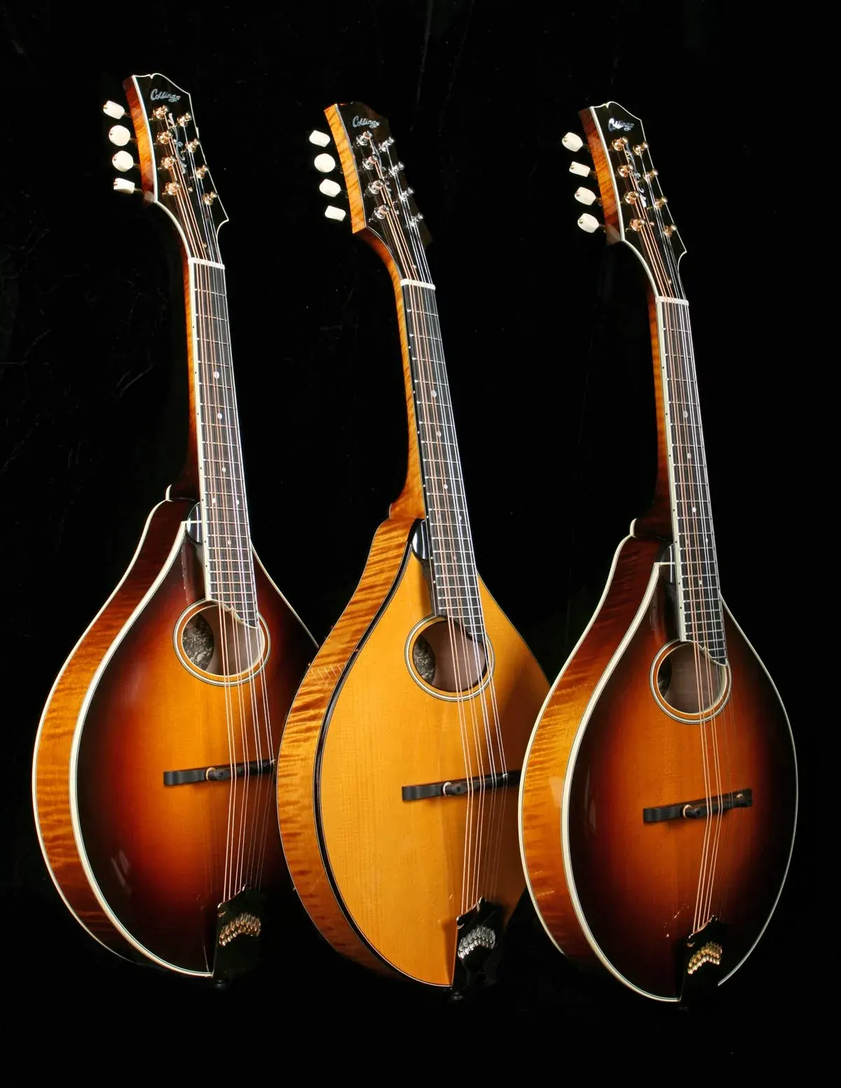 mandolin
