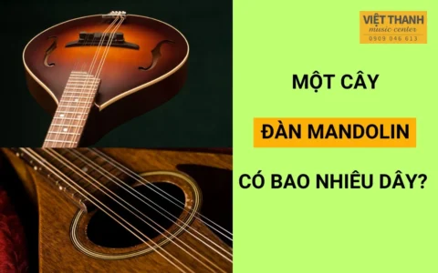 Một cây đàn mandolin có bao nhiêu dây? Giải đáp mọi thắc mắc của bạn