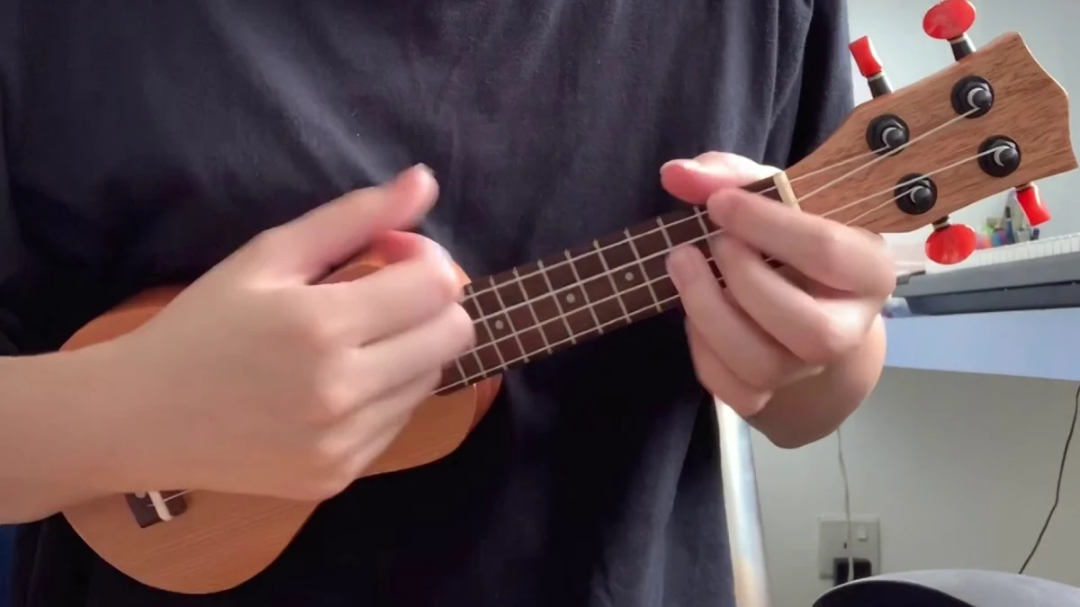 pocket ukulele