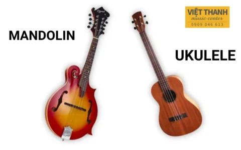 So sánh Mandolin và Ukulele – Những khác biệt bất ngờ bạn nên biết