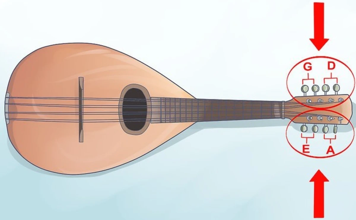 xac dinh vi tri khoa len day dan mandolin