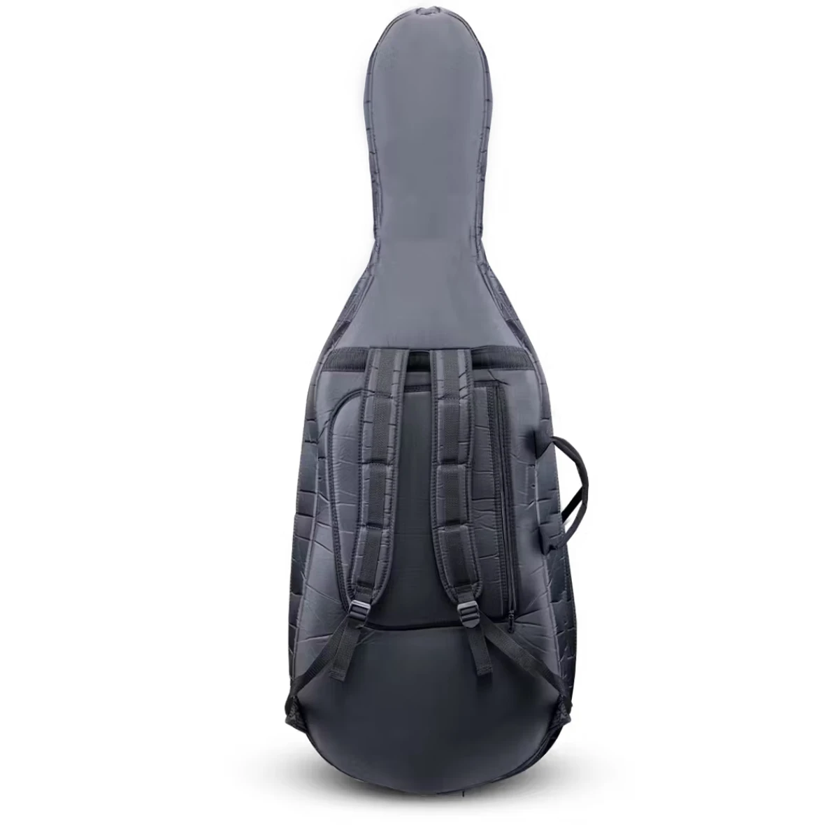 bao dung dan cello eastman cc40