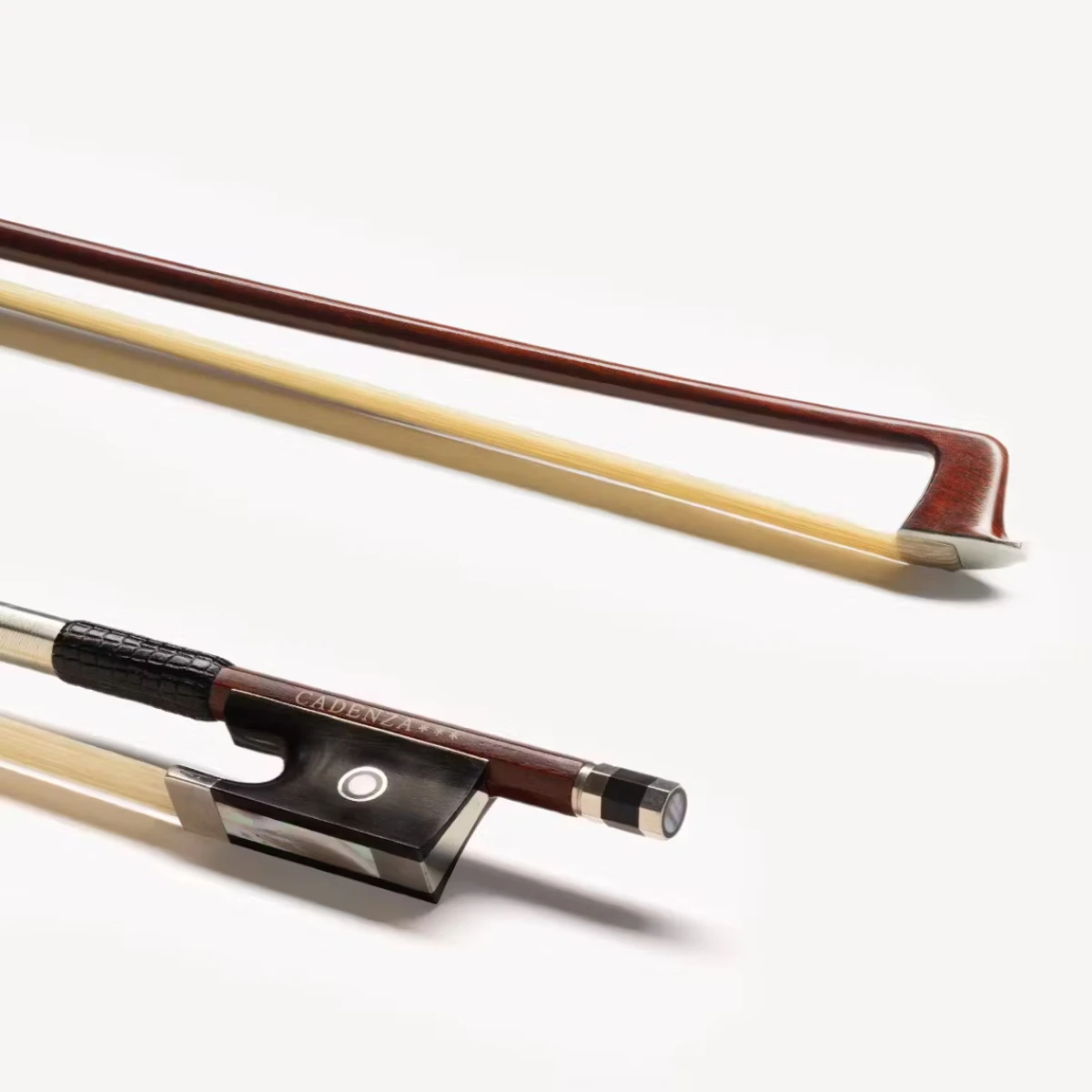 eastman cadenza three star carbon fiber bl305