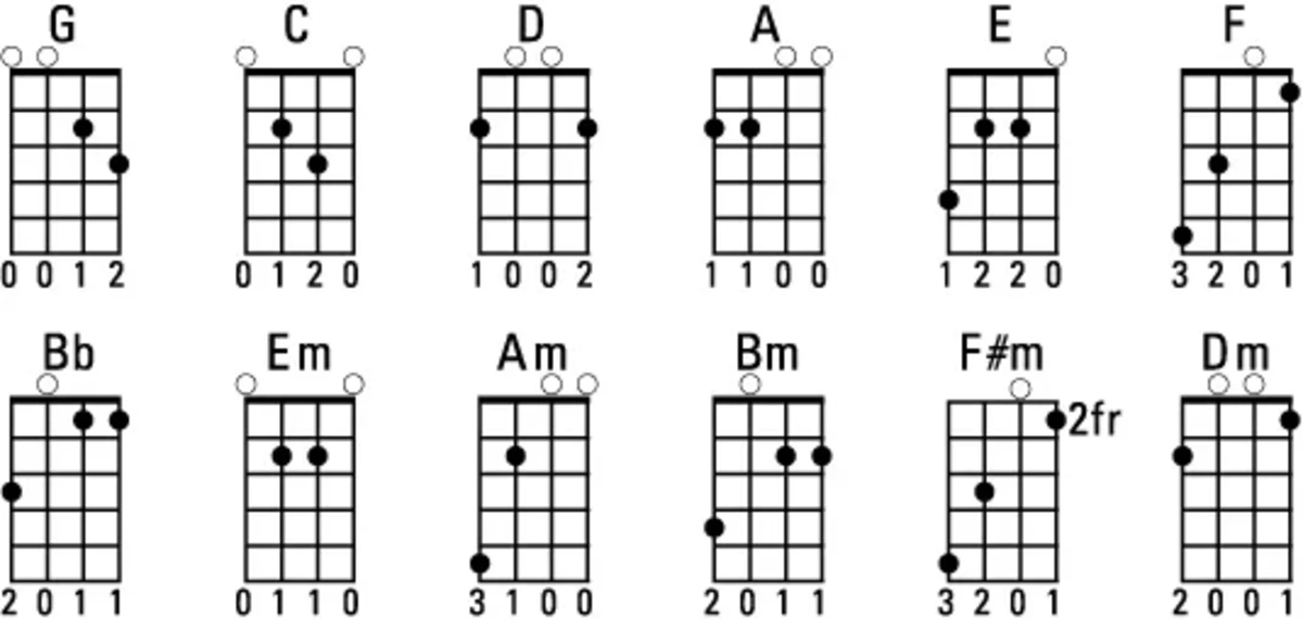 hop am mandolin co ban cho nguoi moi choi