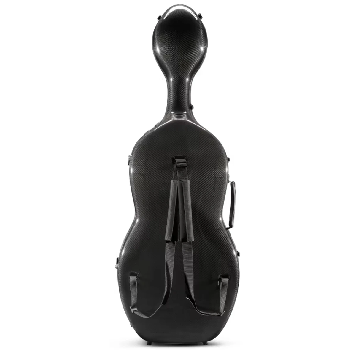 hop cello eastman musilia cacls2