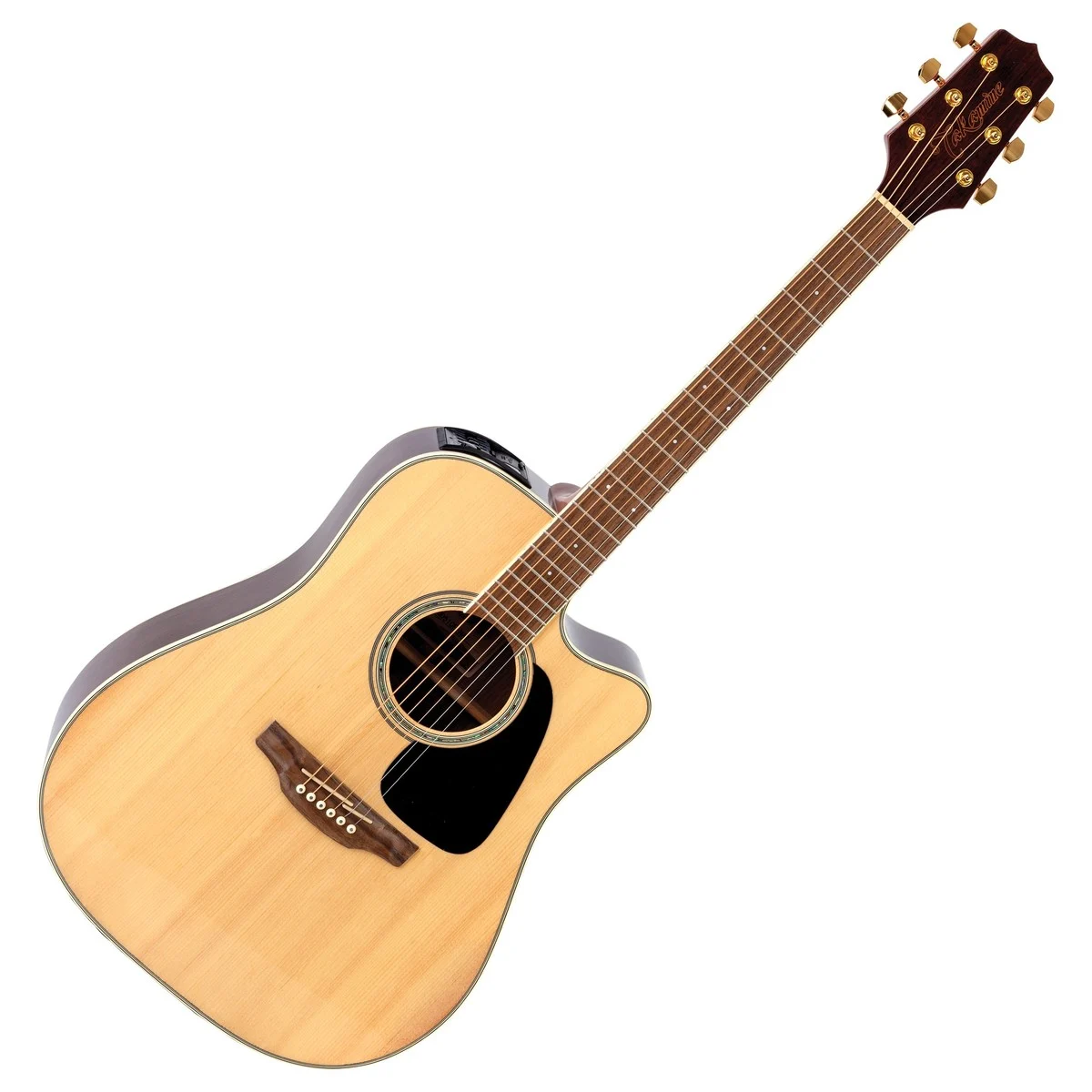 dan guitar takamine gd51ce