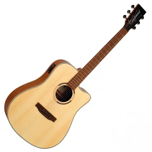 Đàn guitar acoustic có EQ Tanglewood TS5CE, dáng Dreadnought, màu gỗ phủ lớp sơn mờ