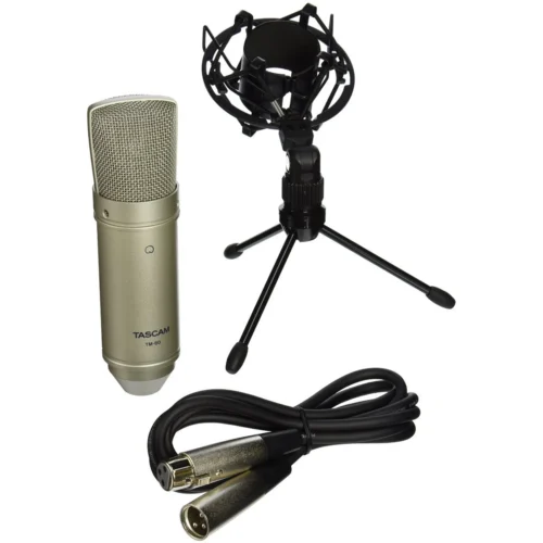 Micro thu âm Tascam TM-80