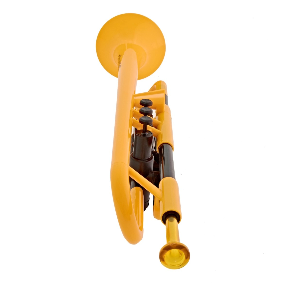trumpet ptrumpet1y