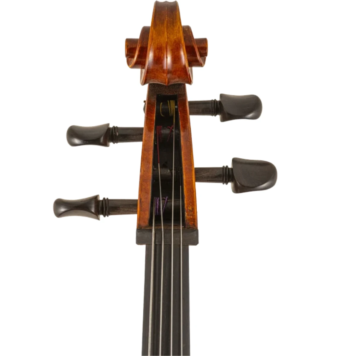 can dan cello scherl roth sr65e4h