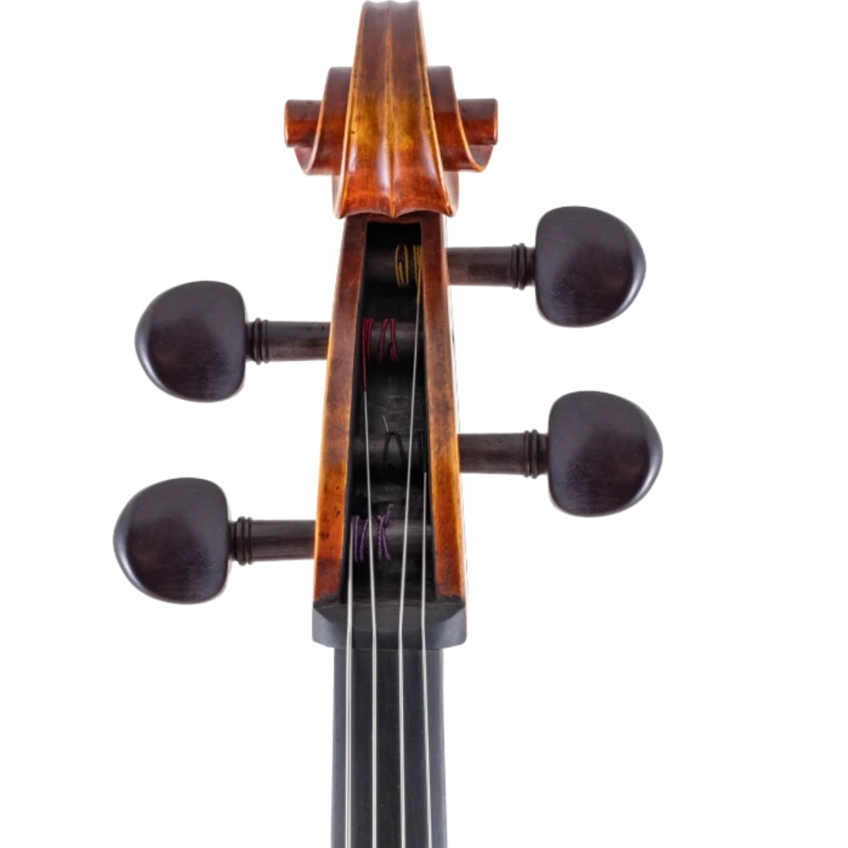 can dan cello scherl roth sr75e4h