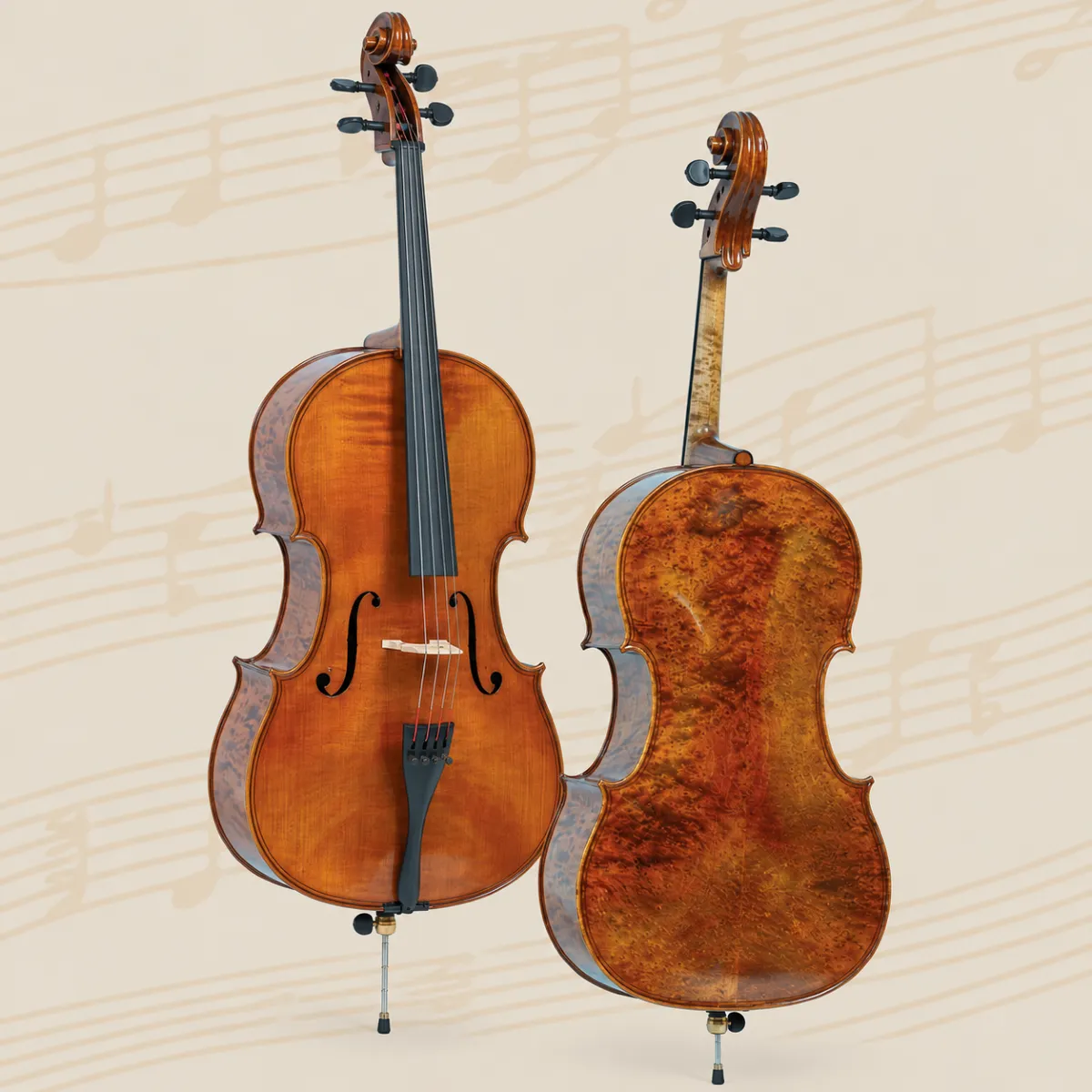 cello master gliga vasile special m c044 bo