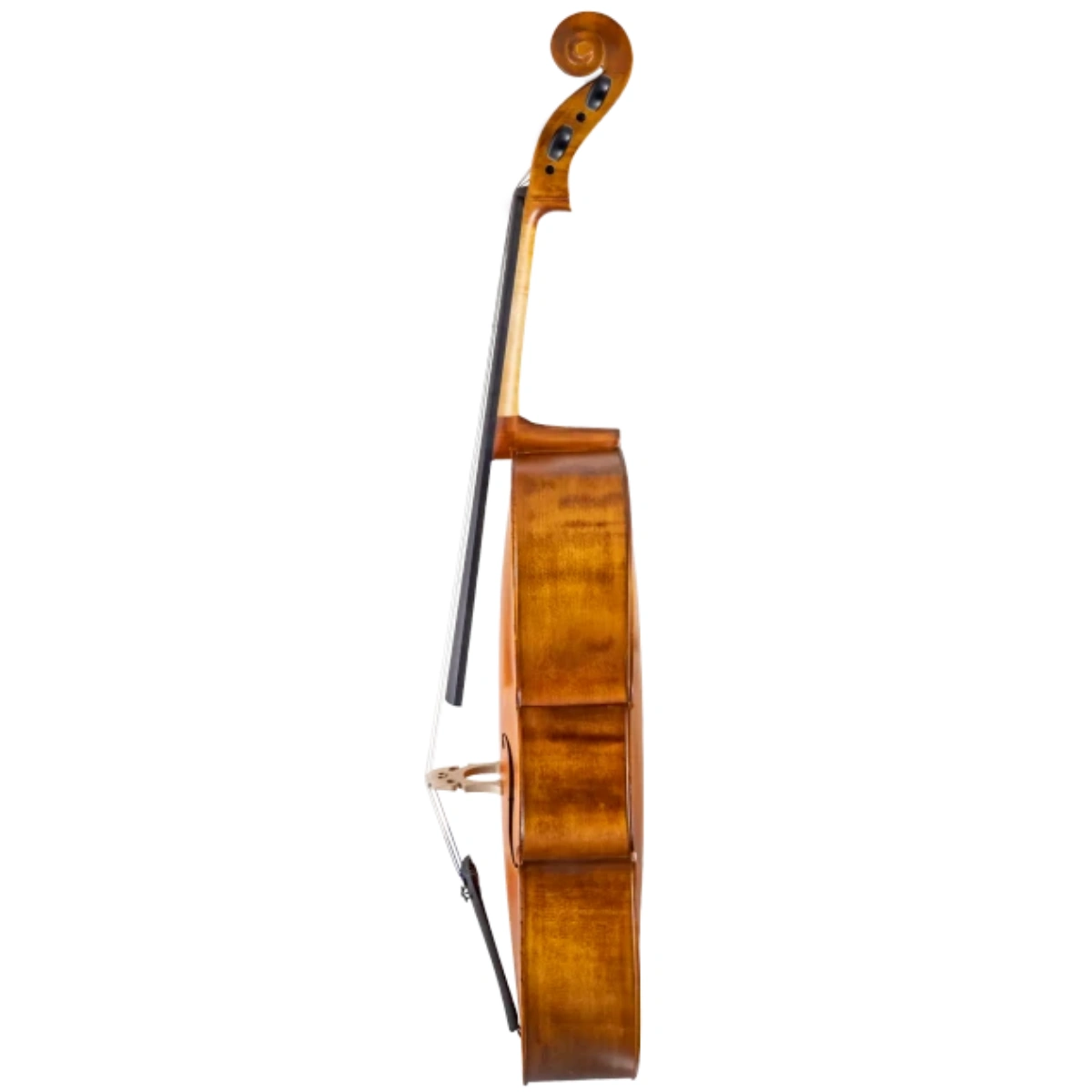 cello scherl roth sr55e4h