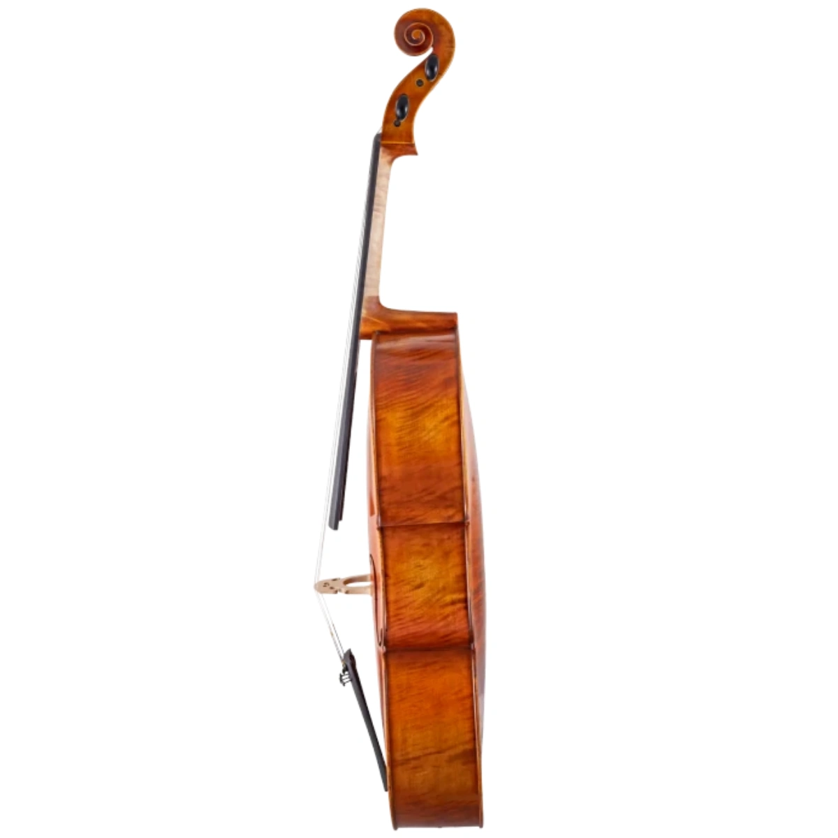 cello scherl roth sr75e4h