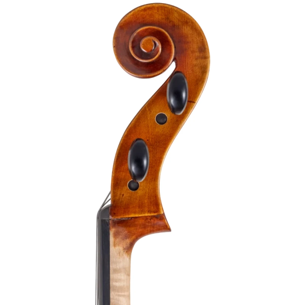 cuon xoan oc cello scherl roth sr75e4h