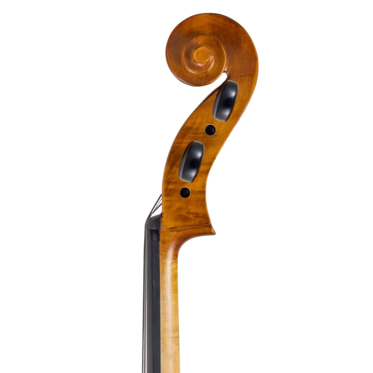 cuon xoan oc dan cello scherl roth sr55e4h