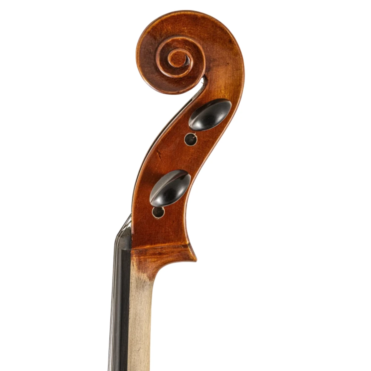 cuon xoan oc dan cello scherl roth sr65e4h