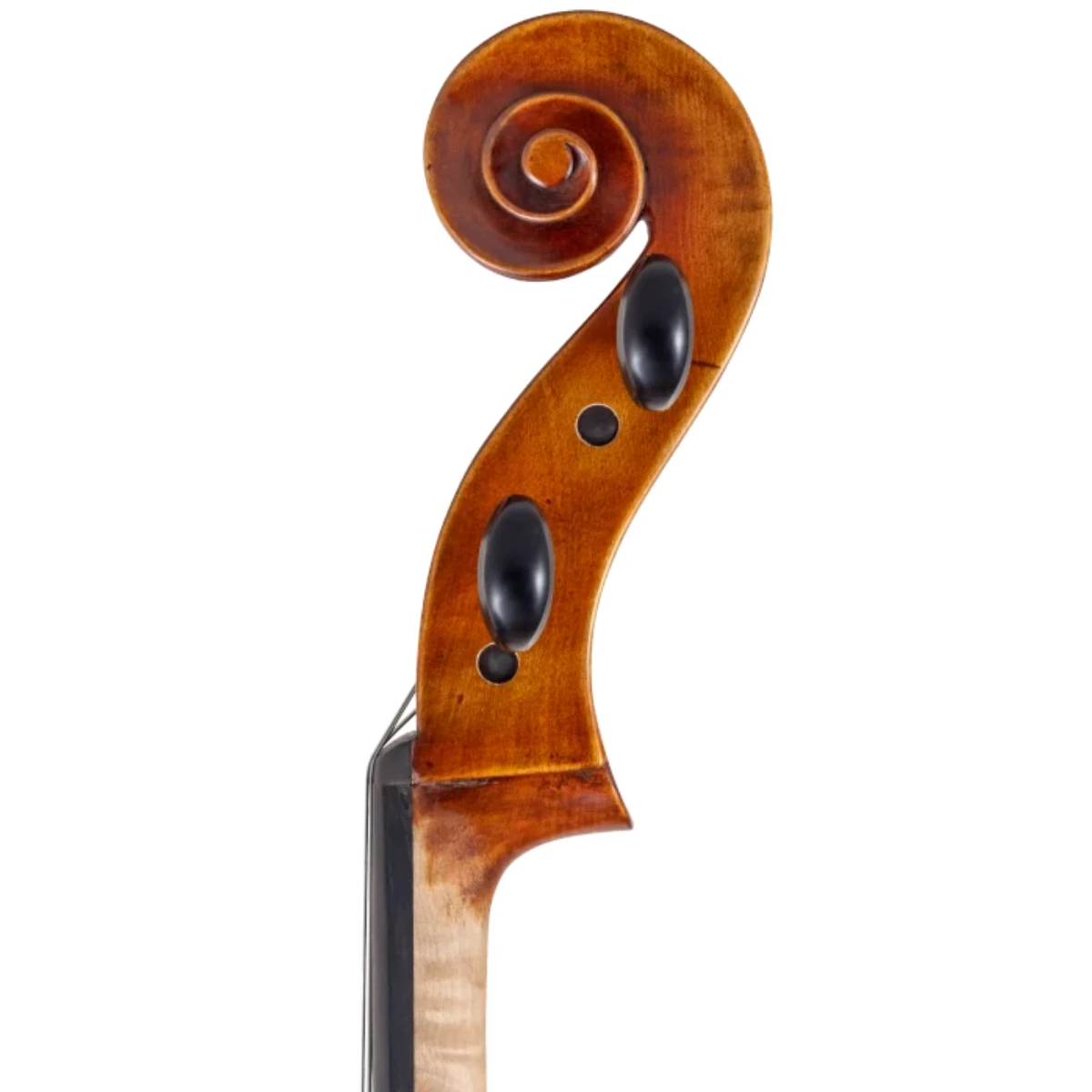 cuon xoan oc dan cello scherl roth sr75e4h