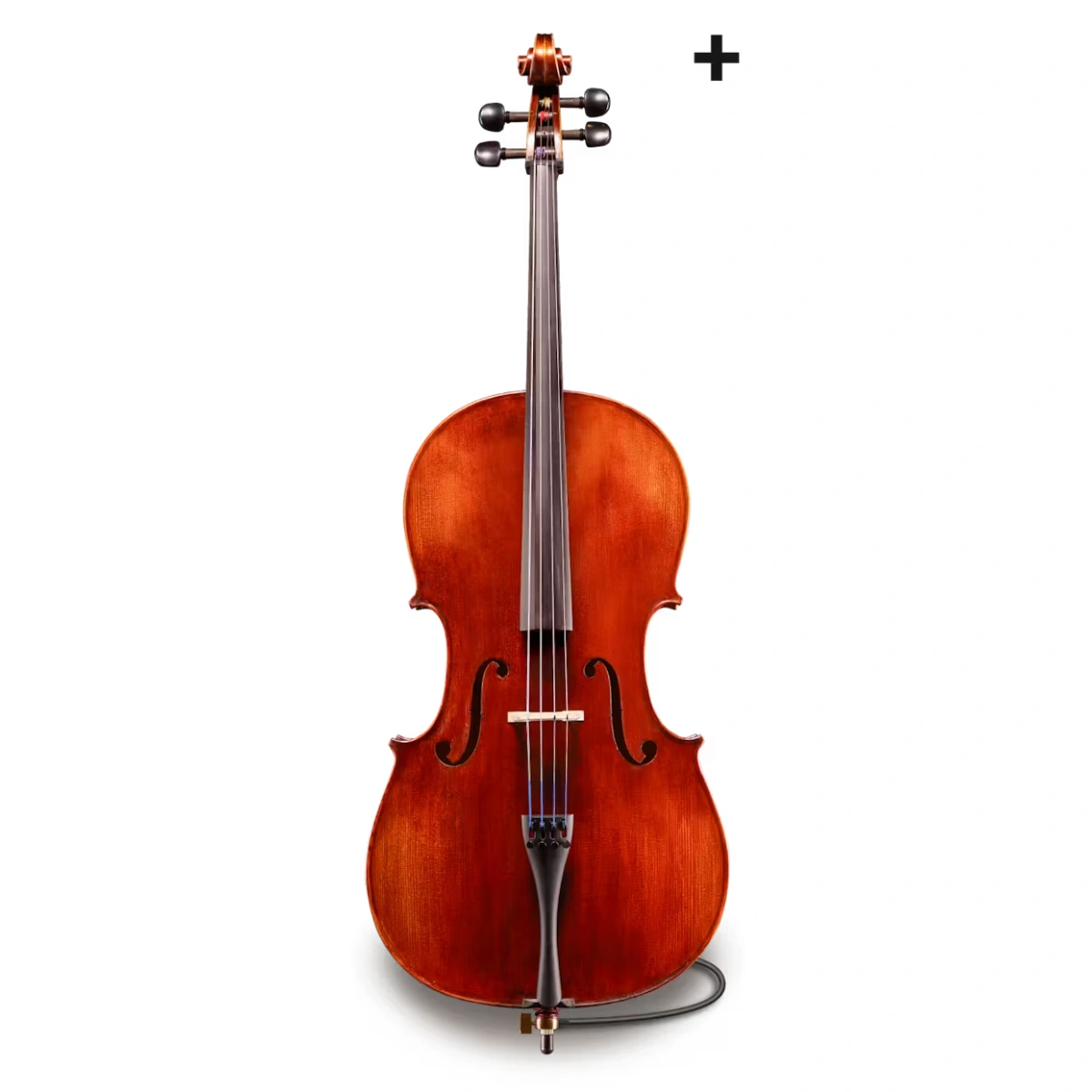 dan cello samuel eastman series vc145 plus